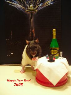 Tally the New Year's Rat